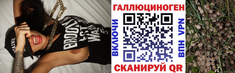 Галлюциногенные грибы MAGIC MUSHROOMS  Купить где  Емва 